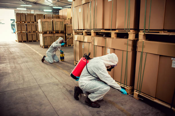 Best Affordable Pest Control Services  in Colby, KS