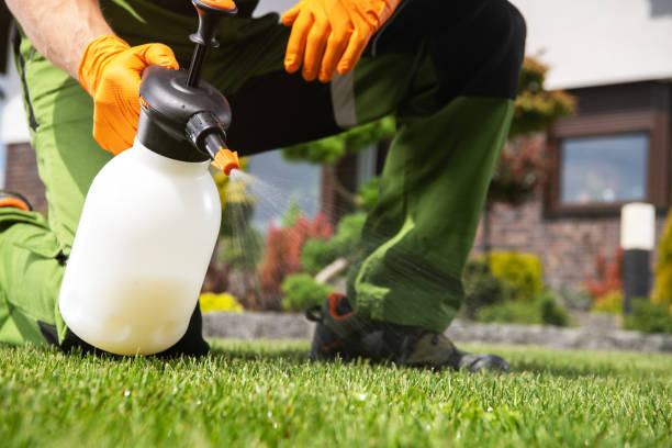 Pest Prevention Services in Colby, KS