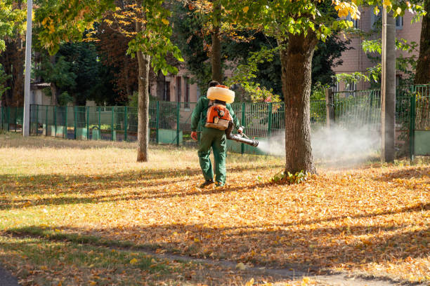 Best Wasp Removal Services  in Colby, KS