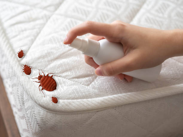 Best Commercial Pest Control Services  in Colby, KS