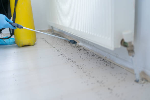 Best Exterminator Services  in Colby, KS